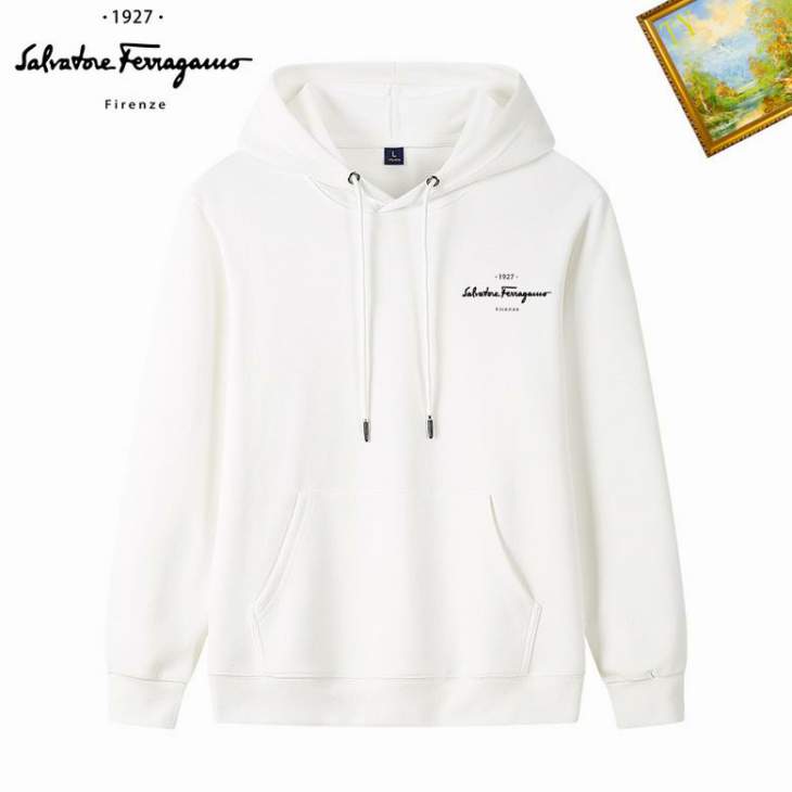 Picture of Ferragamo Hoodies _SKUFerragamoM-3XL25tn023092